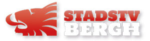 Stadstvbergh Logo